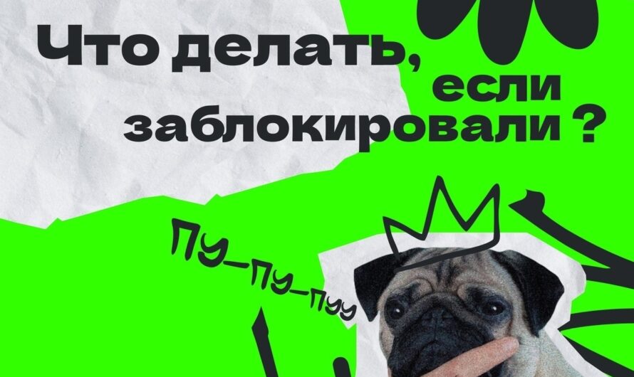 Что делать, если заблокировали Пушкинскую карту?